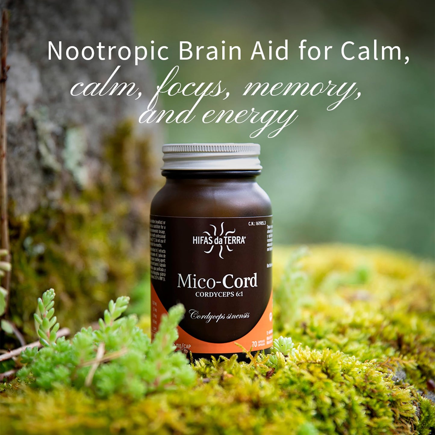 HIFAS DA TERRA Mico-Cord Cordyceps Mushroom Powder Capsules, 70 Capsules