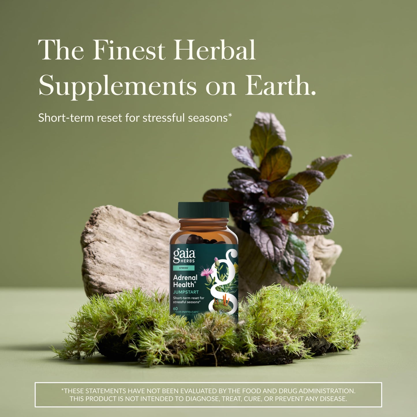 Gaia Herbs Adrenal Health Jumpstart Capsules 60 Count
