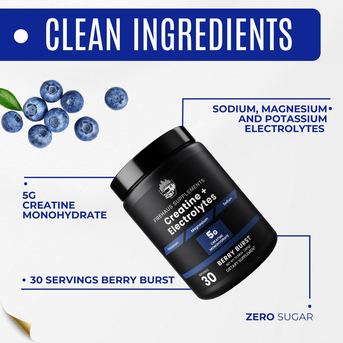 FireHaus Supplements Creatine + Electrolytes, Berry Burst Flavor, 5g Creatine Monohydrate with Potassium, Magnesium, and Sodium for Strength, Hydration, and Recovery Support Powder, 13.58 Ounce