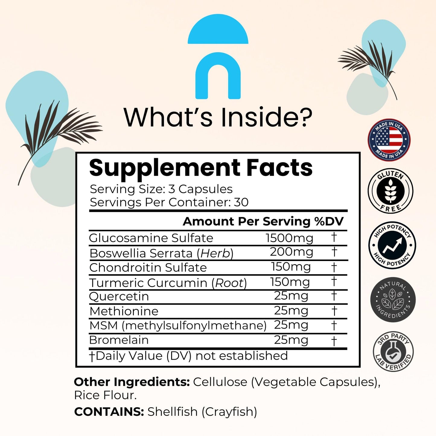 NutriRise Glucosamine Chondroitin Quercetin & MSM with Turmeric Curcumin 2100mg Triple Strength Joint Support Capsule, 90 Count