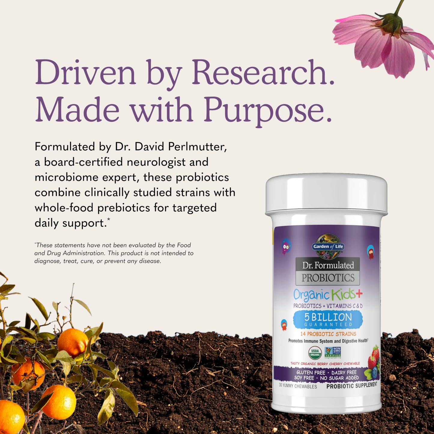 Garden of Life Dr. Formulated Probiotics Organic Kids+ Plus Vitamin C & D Chewables 30 Count