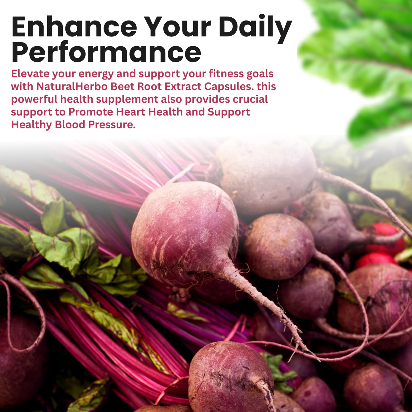 NaturalHerbo Beet Root Capsules 800mg, 60 Count
