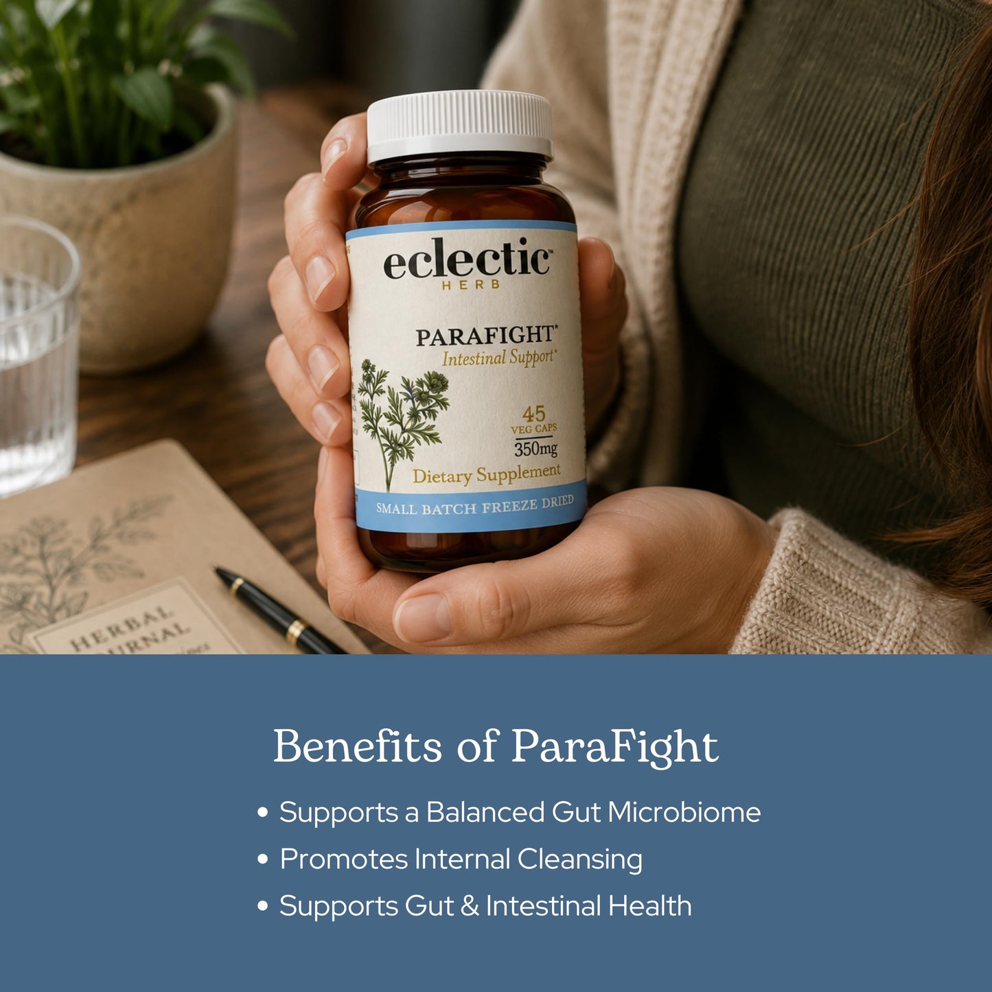 ECLECTIC INSTITUTE ParaFight Softgel 45 Count