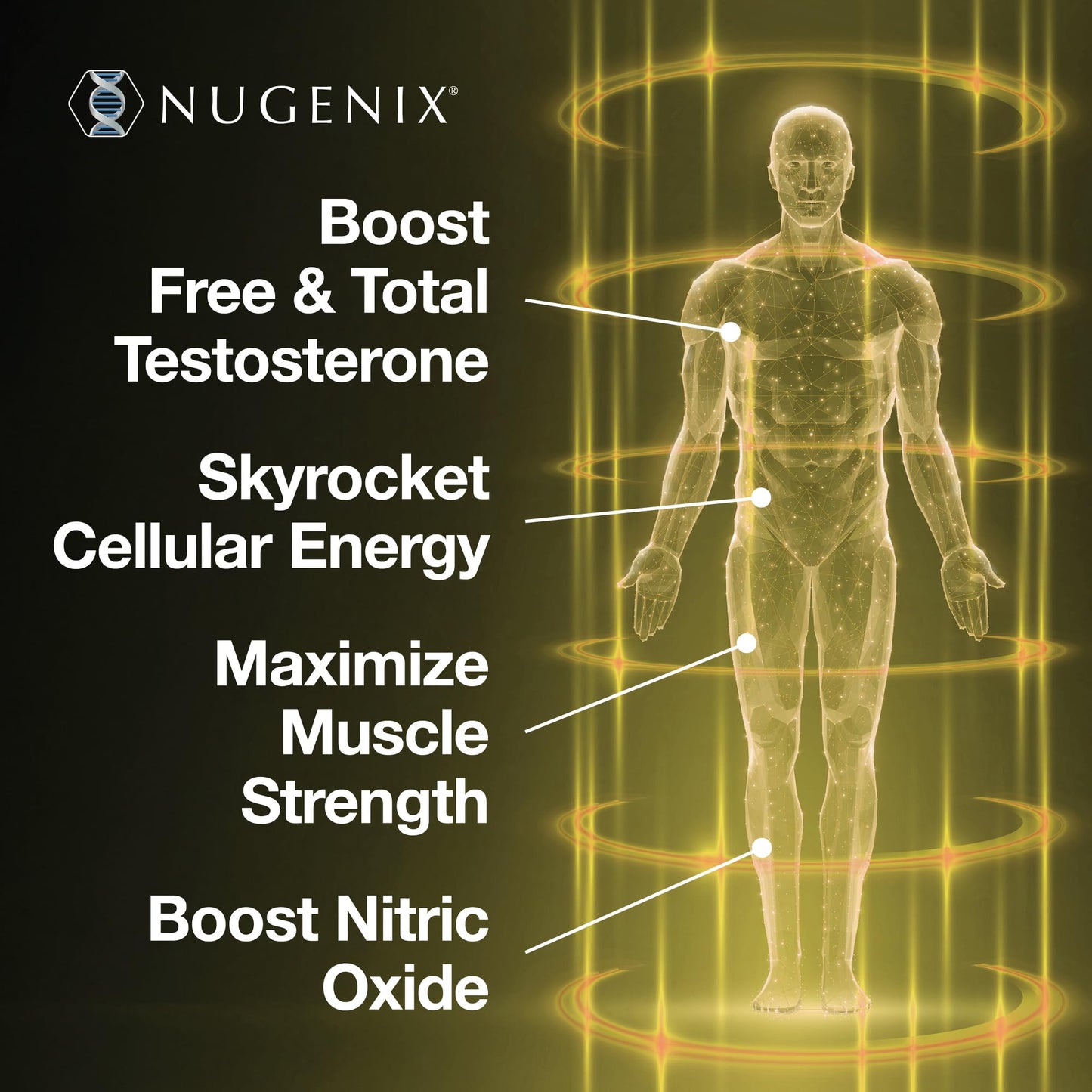 Nugenix Total-T2 Testosterone Booster and Nitric Oxide Booster for Men Capsule (90 Count)