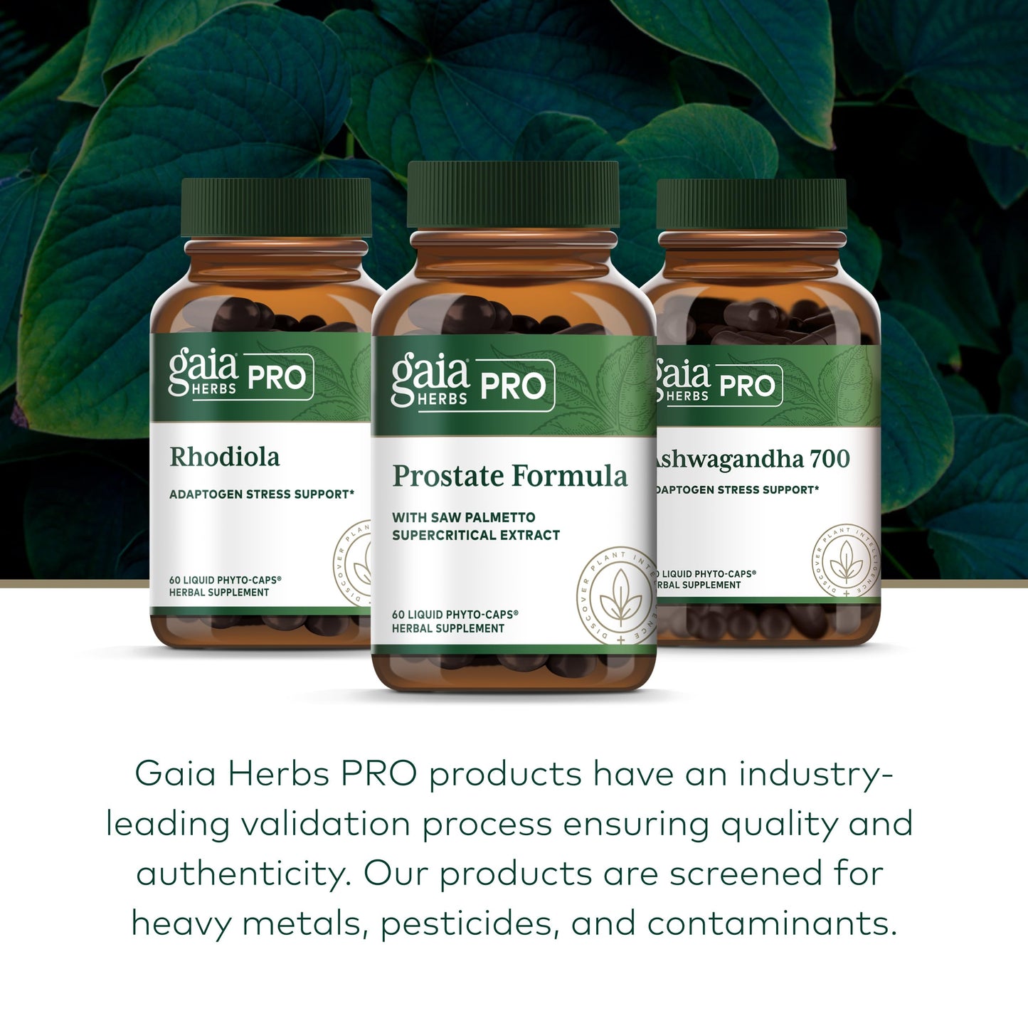 Gaia Herbs PRO Prostate Formula Capsules 60 Count