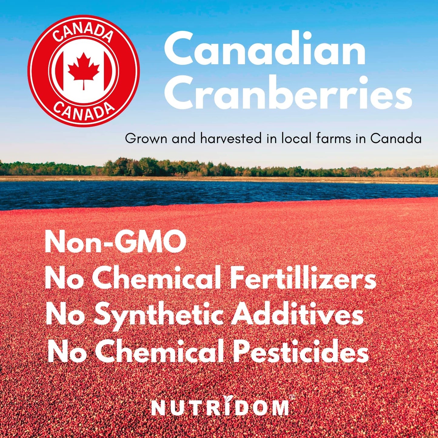 Nutridom Canadian Cranberry 25x, 500mg (12,500mg QCE), Capsules, 1 Count