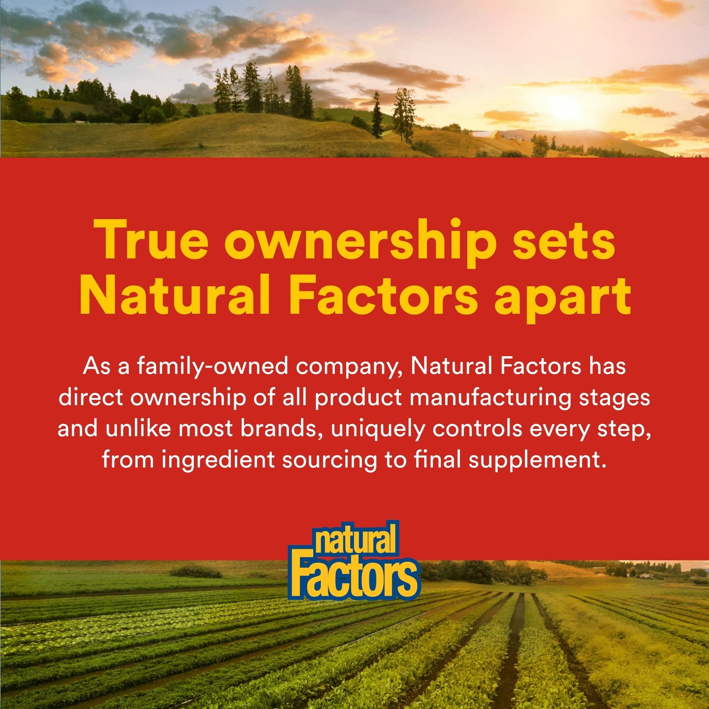 Natural Factors Phosphatidylserine Softgels 30