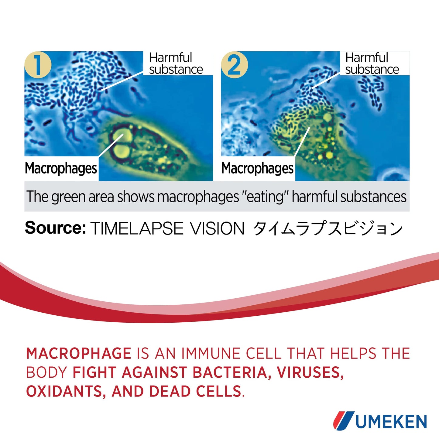 Umeken Lipopo Tablet, 180 Tablets