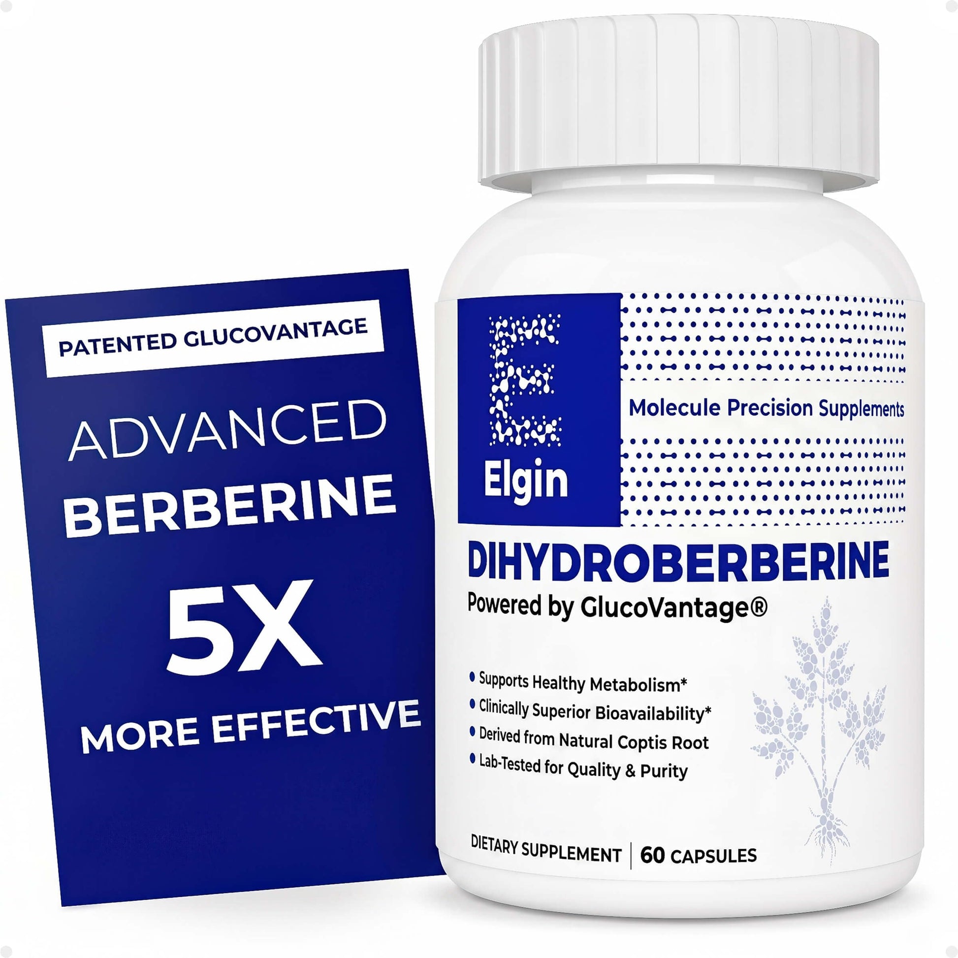 Elgin Precision Berberine Dihydroberberine 60 Capsules