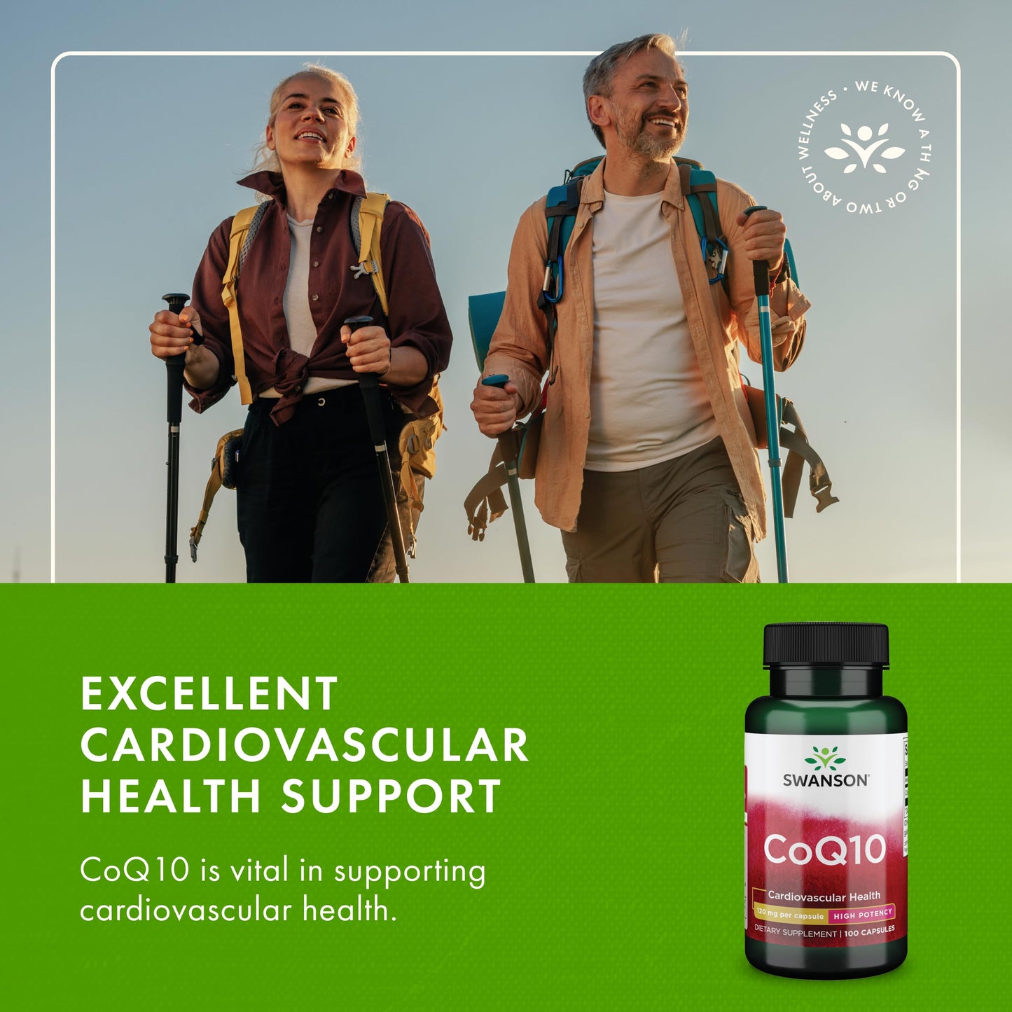 Swanson CoQ10 Capsules 100 Count (120mg Each)