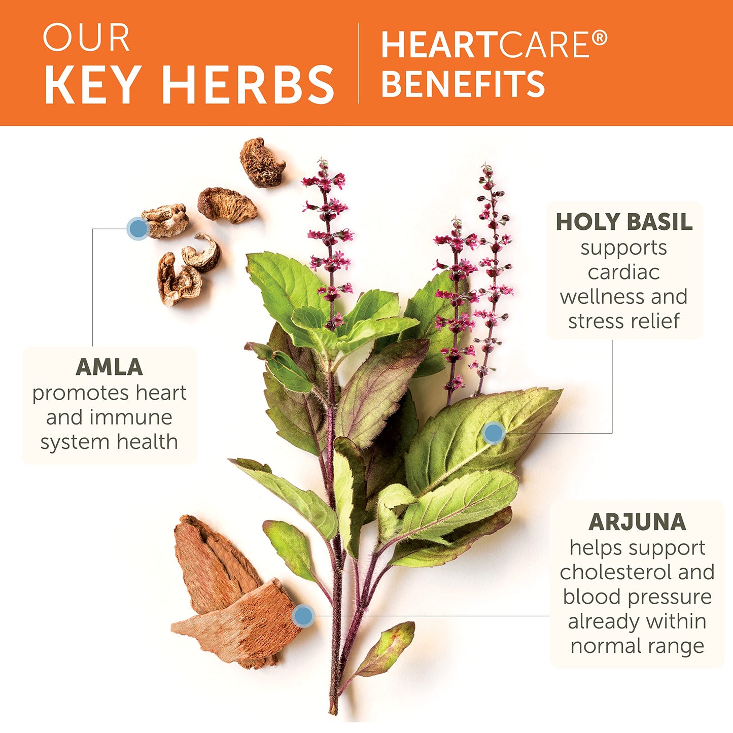 Himalaya HeartCare Capsules 240