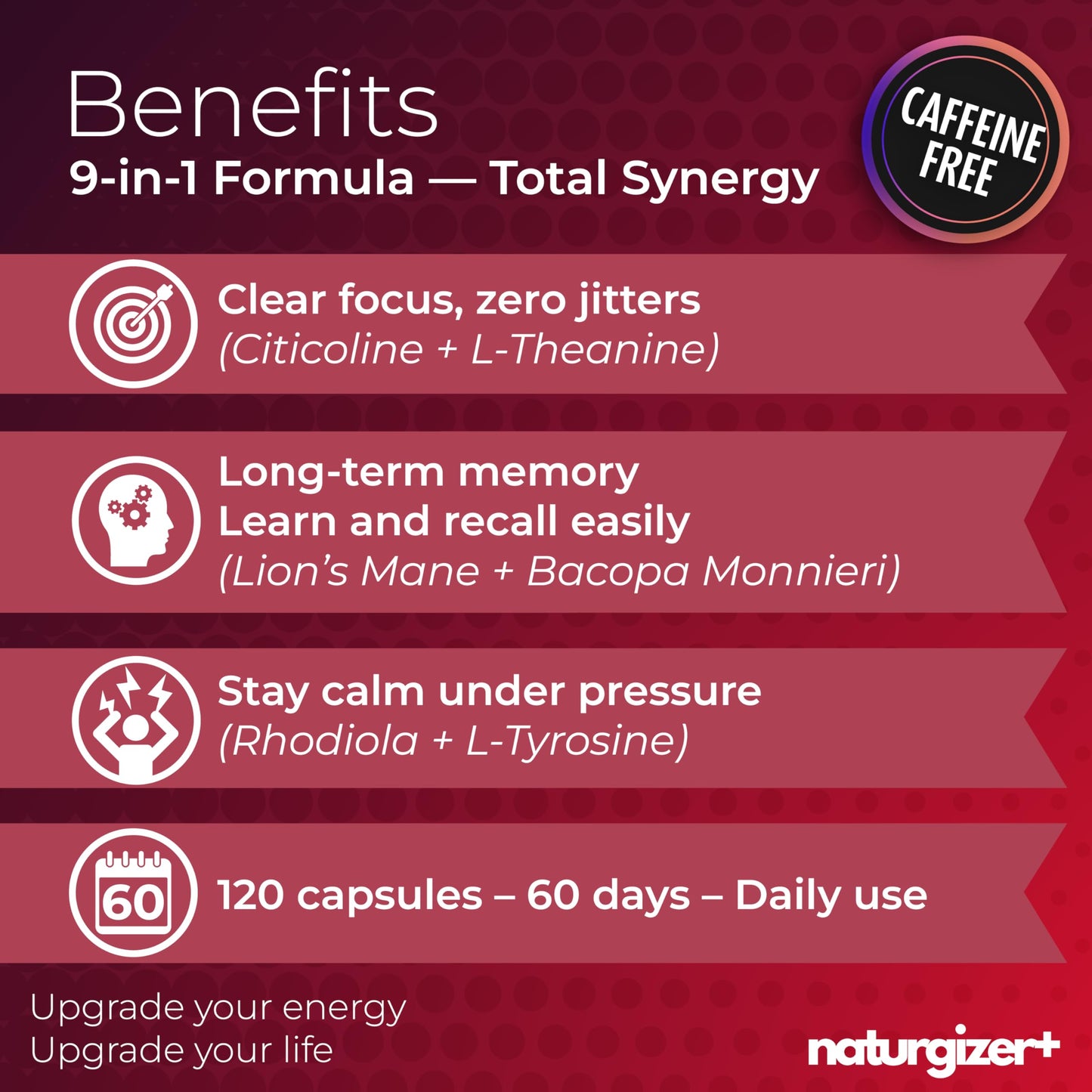 naturgizer+ Lions Mane Supplement 120 Capsules