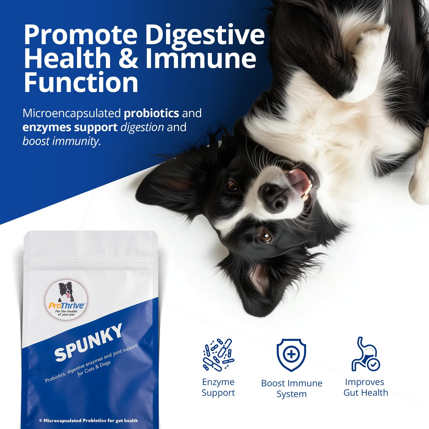 ProThrive Spunky Digestive Supplement Powder, 48