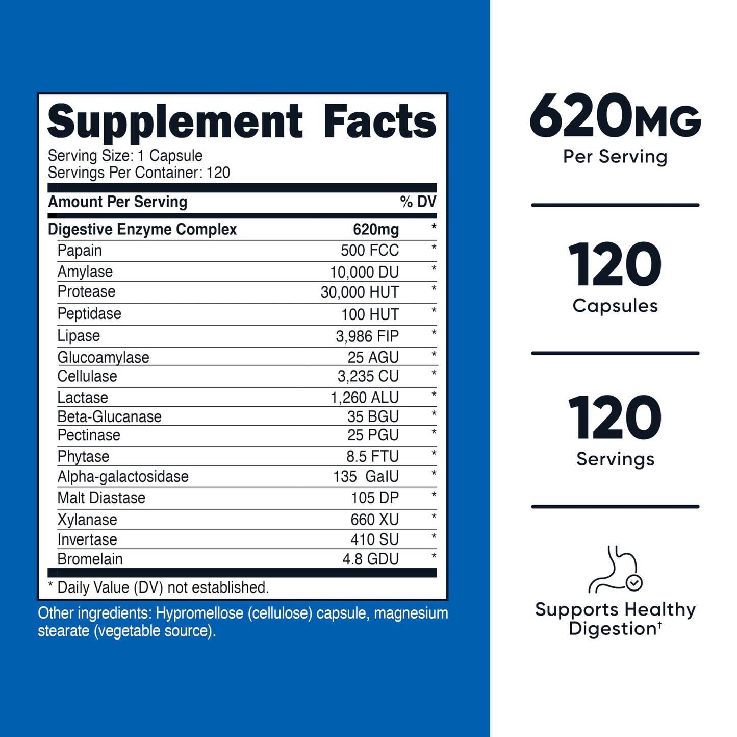Nutricost Digestive Enzymes 620mg, 120 Capsules (Pack of 2)