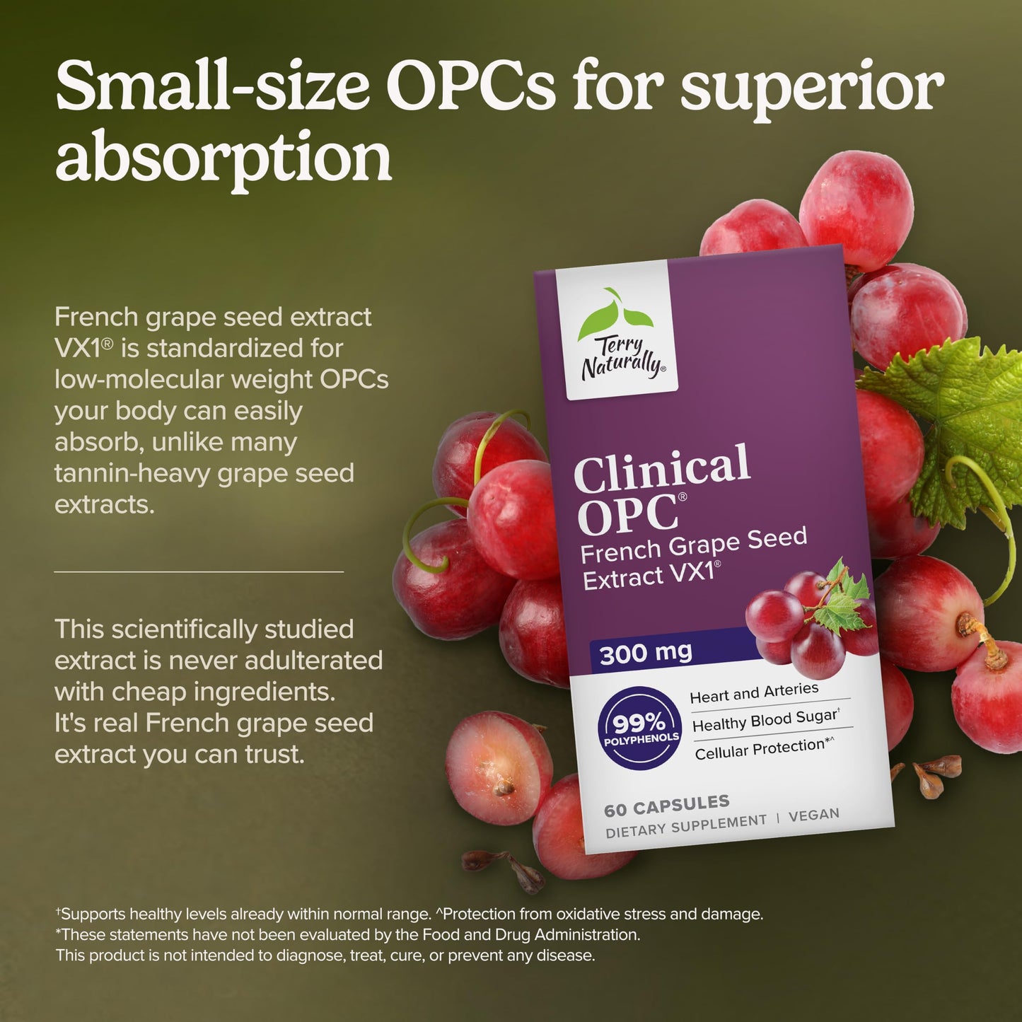Terry Naturally Clinical OPC 300mg Softgel, 60 Count