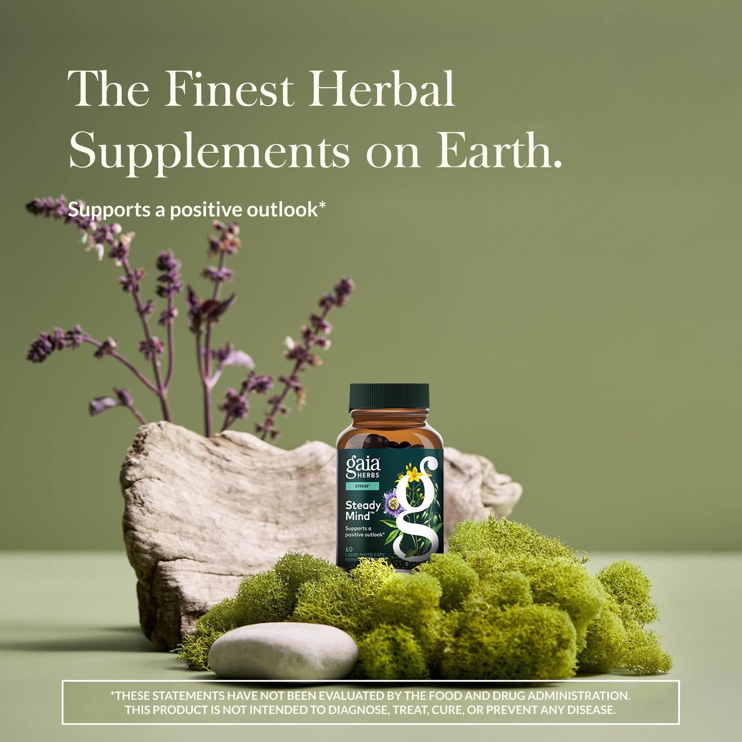Gaia Herbs Steady Mind 60-Count Capsules