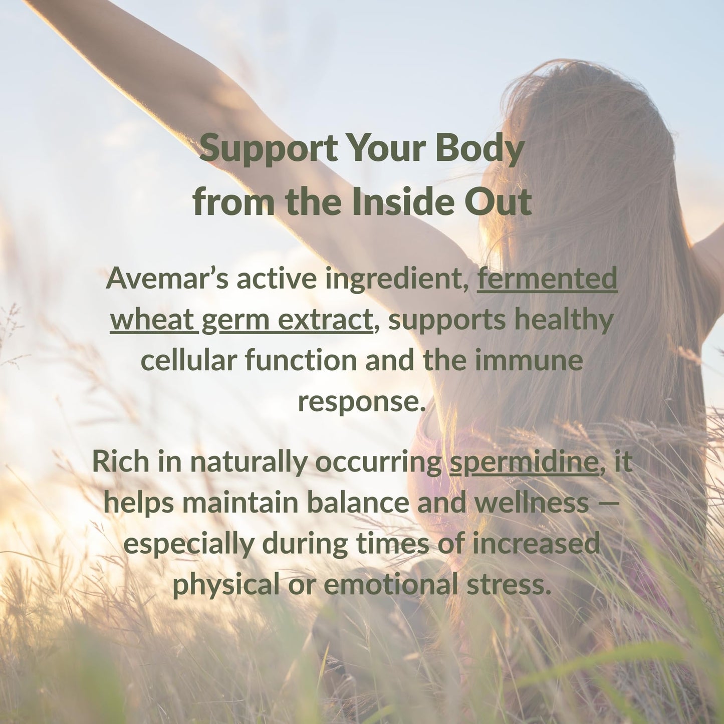 Avemar Fermented Wheat Germ Extract Tablets 300