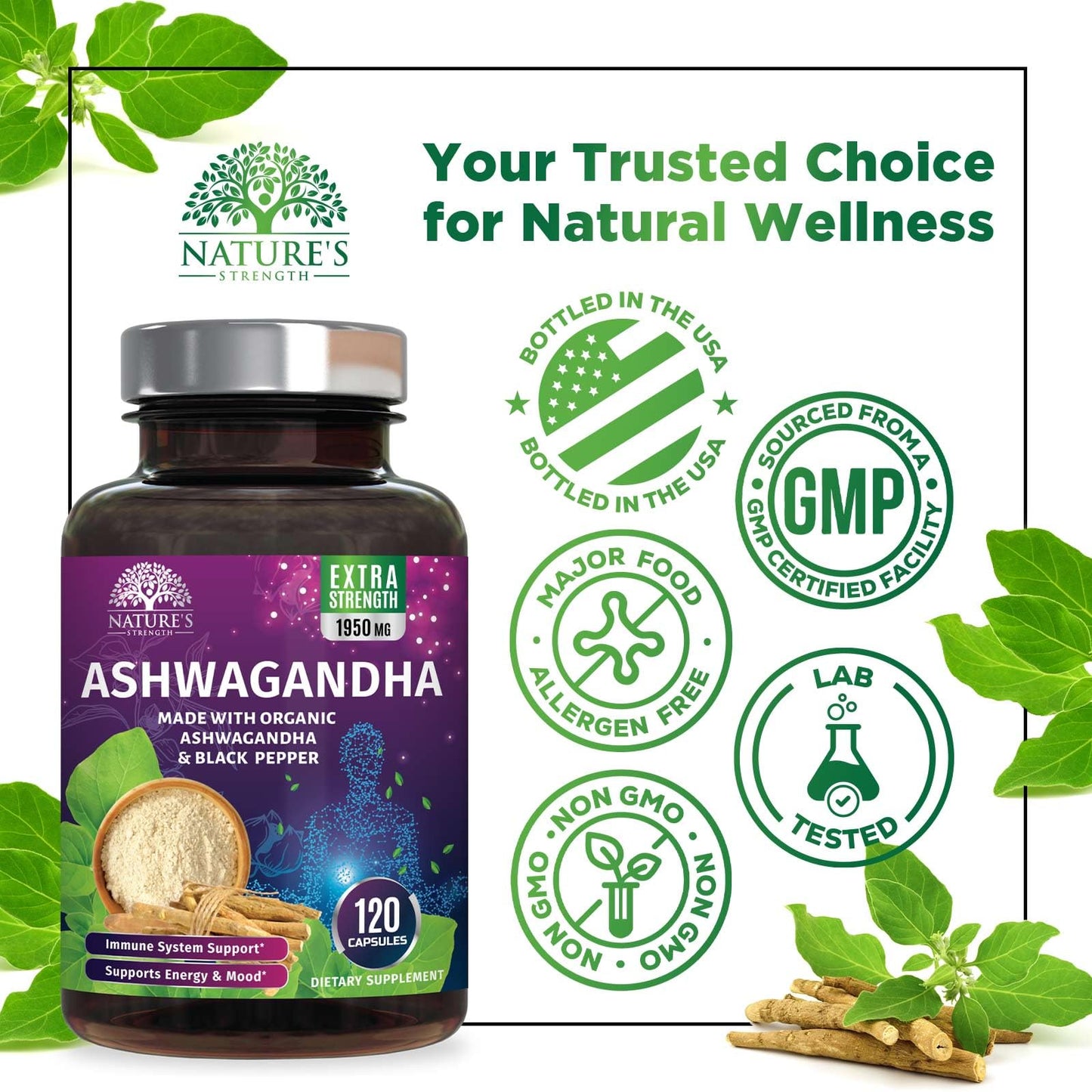 Nature's Strength Ashwagandha Supplements Capsule 120 Capsules