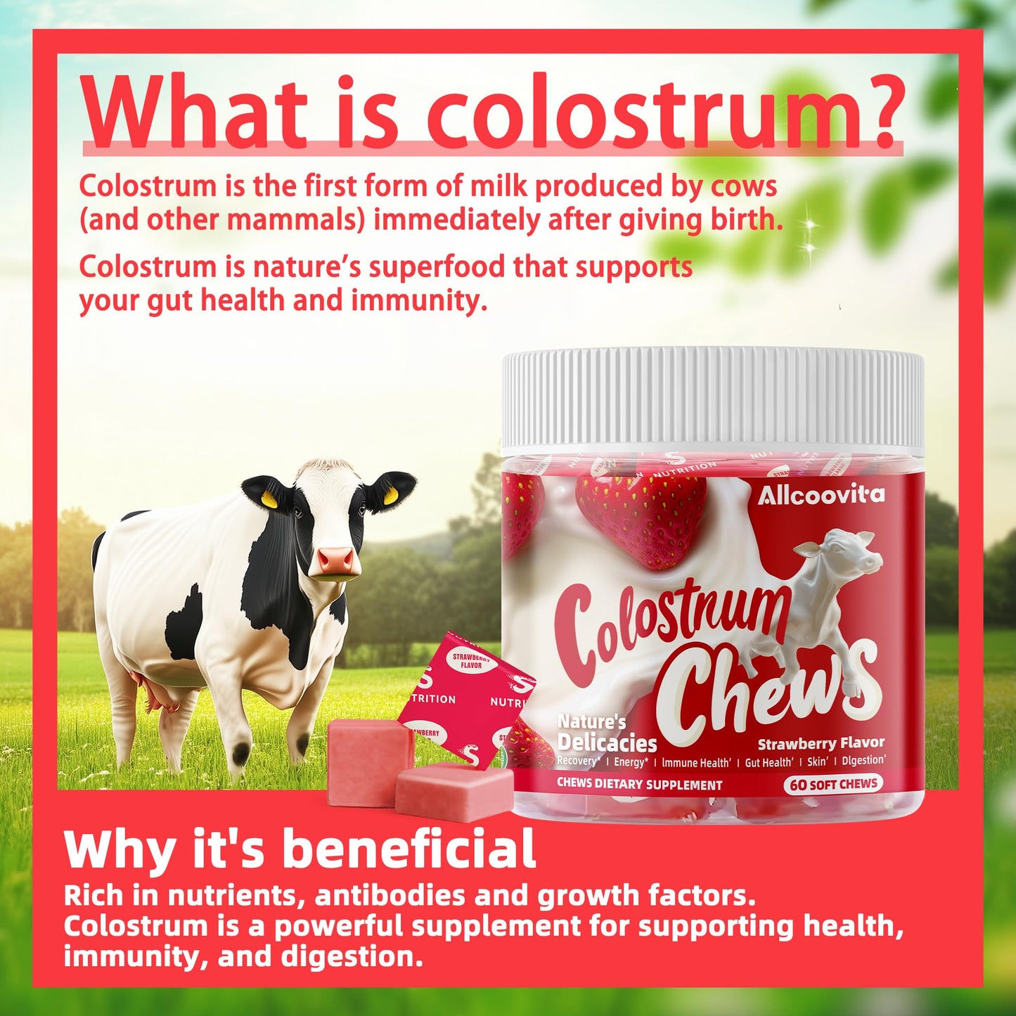Allcoovita Bovine Colostrum Soft Chews 60 Count