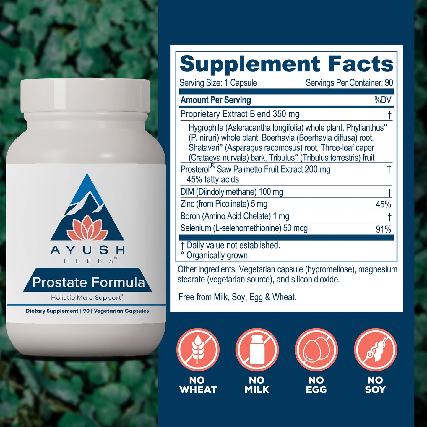 Ayush Herbs Prostate Formula Capsule 90 Count