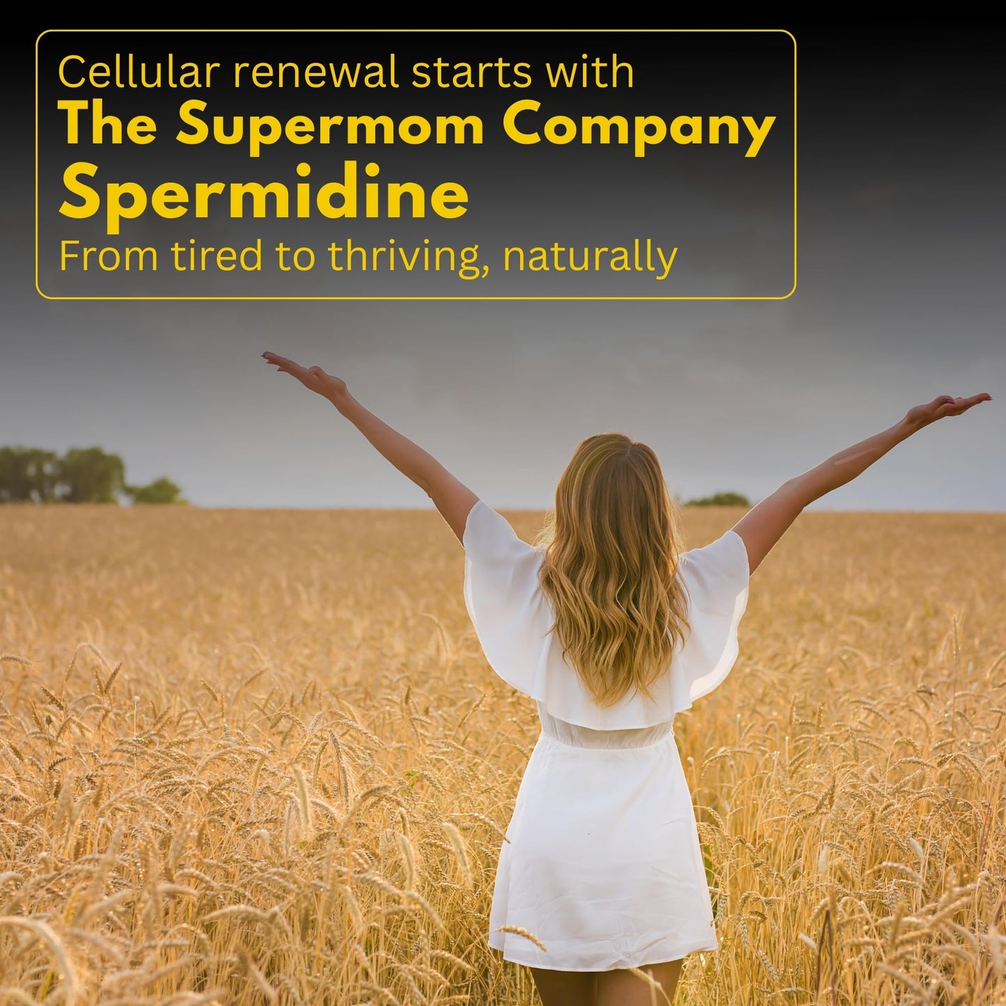 The Supermom Company Spermidine Supplement Capsule, 60 Count