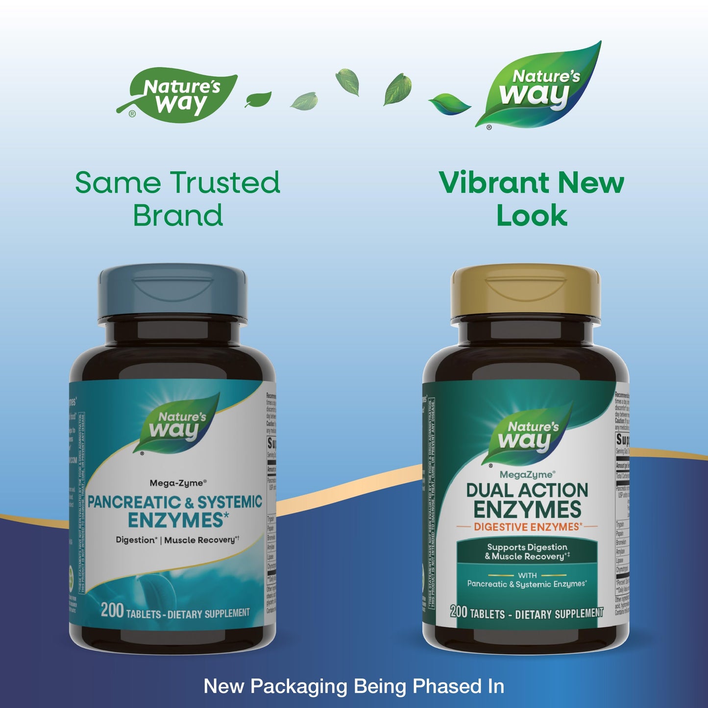 Nature's Way Mega-Zyme Pancreatic & Systemic Enzymes Tablet, 200 Tablets