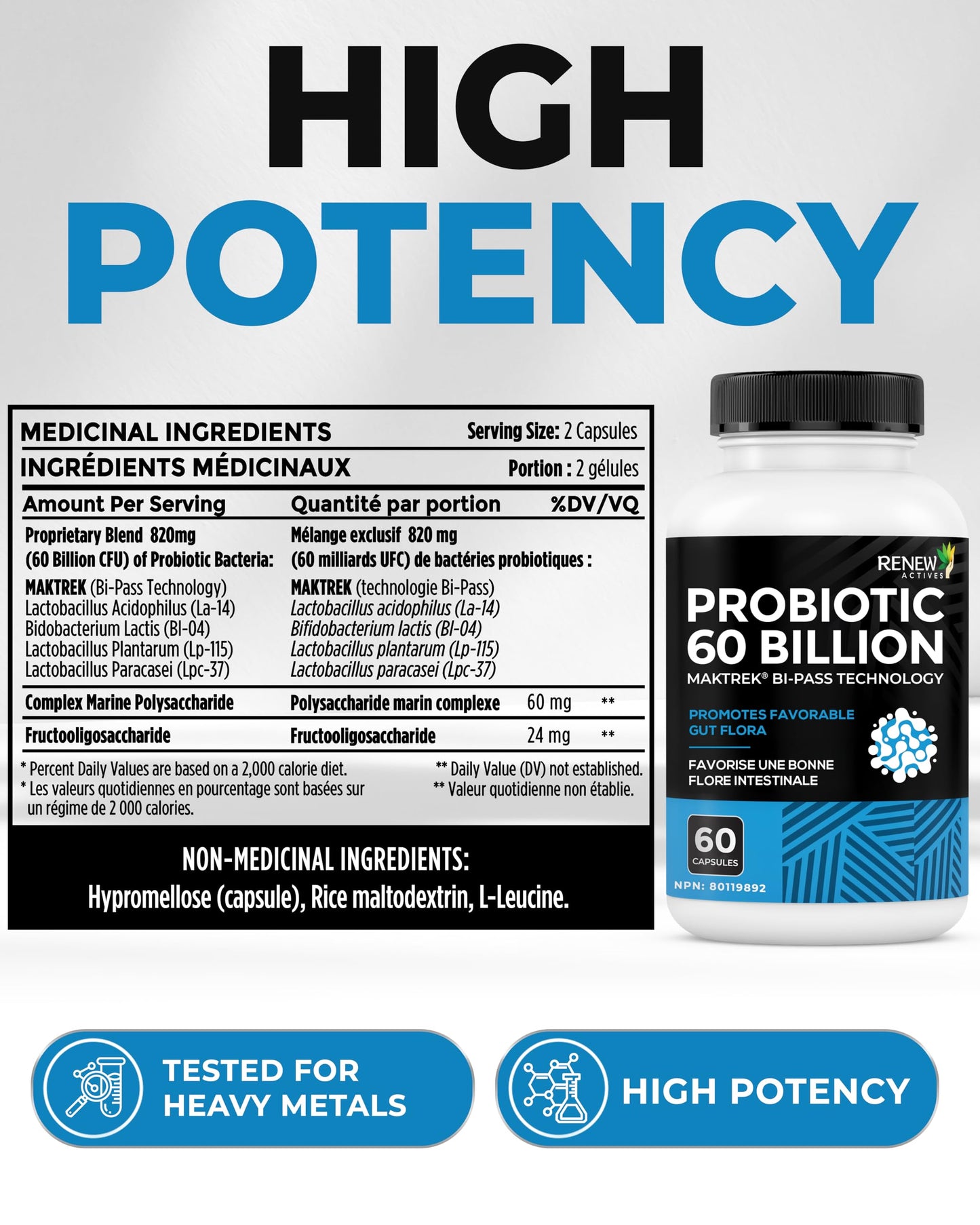 Renew Actives Probiotic Supplement for Digestive Health Capsule, 60 Capsules