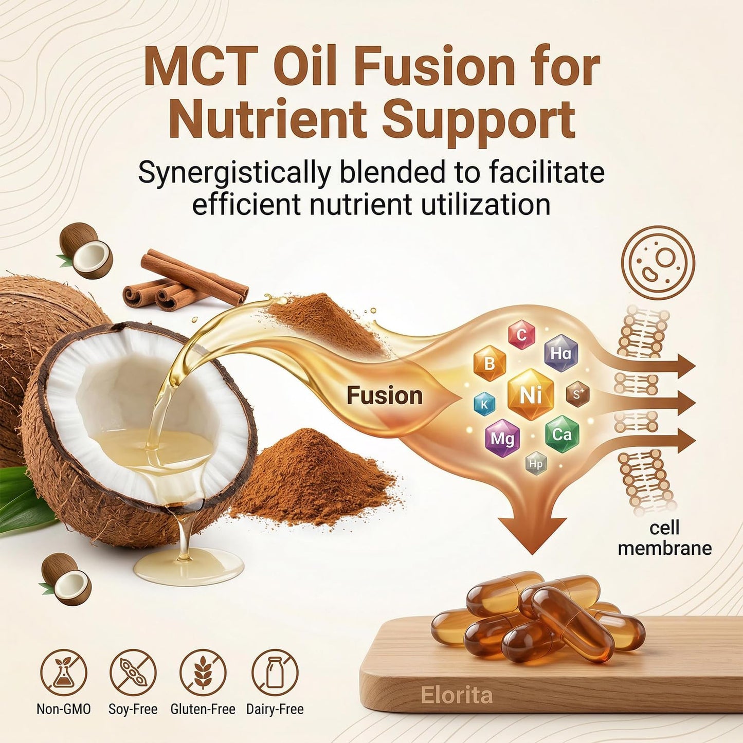 Elorita Ceylon Cinnamon Softgels with MCT Oil Capsule, Non-GMO & Gluten Free, 300 Softgels