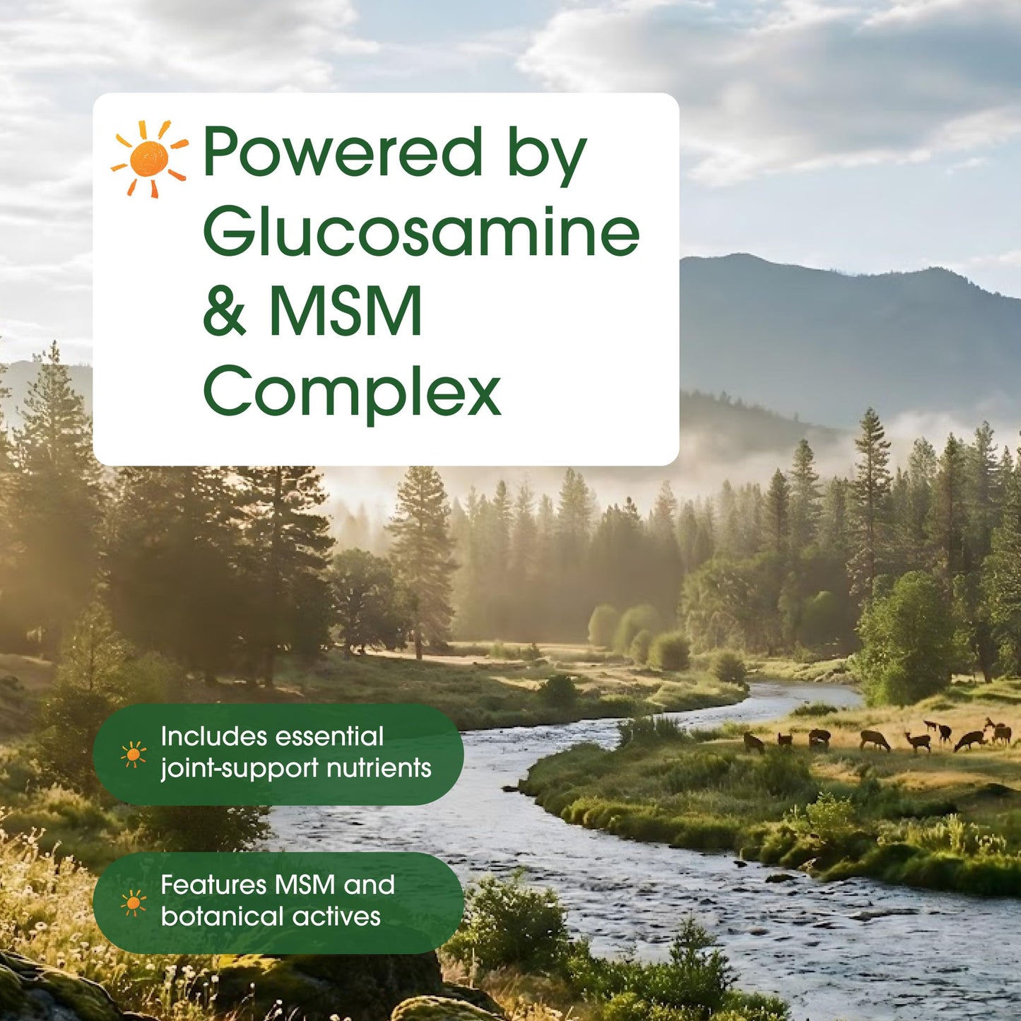 NatureBell Glucosamine Chondroitin & MSM 10-in-1 Joint Support Capsules 240 Count