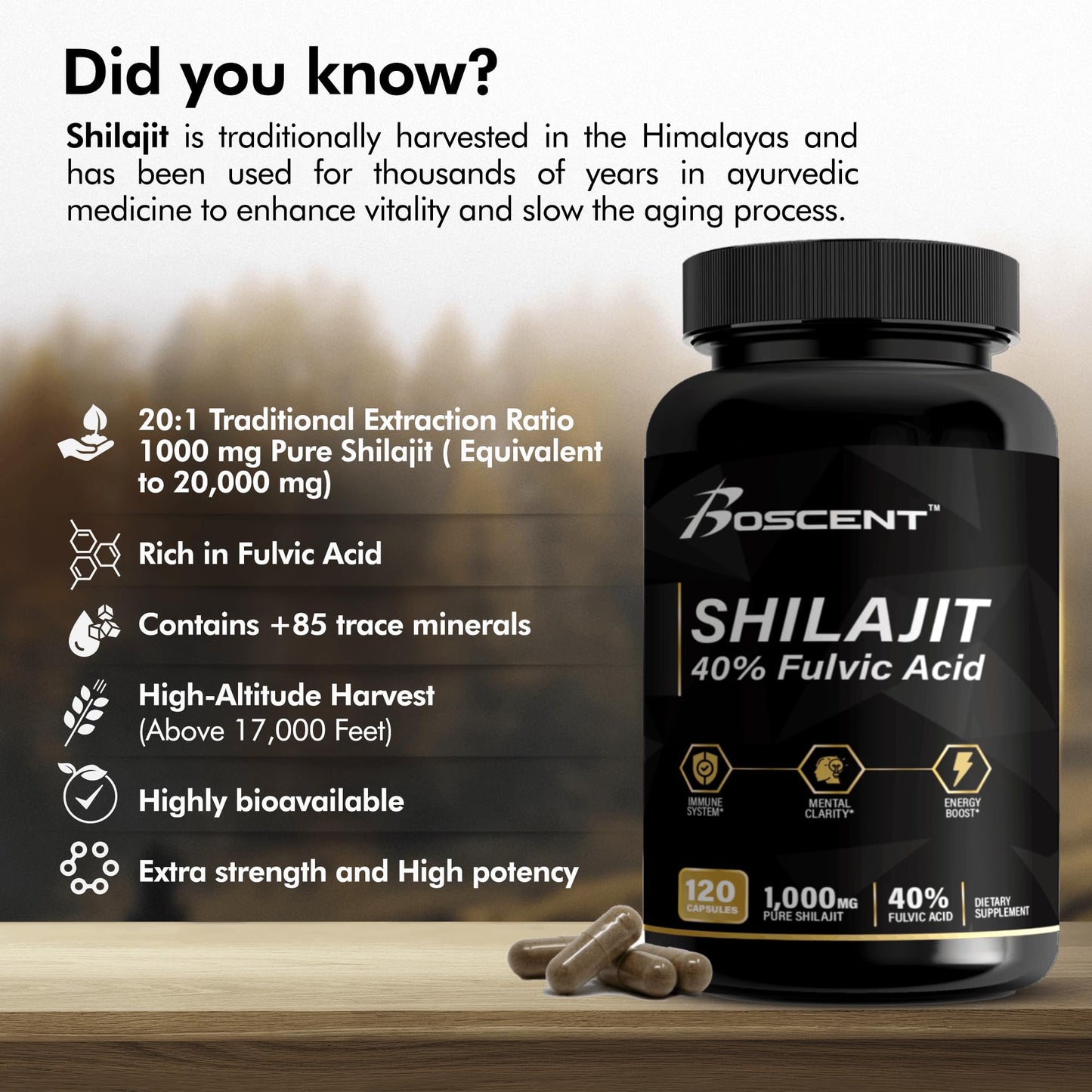 BOSCENT Shilajit Capsules 20,000mg, 120 Vegan Capsules