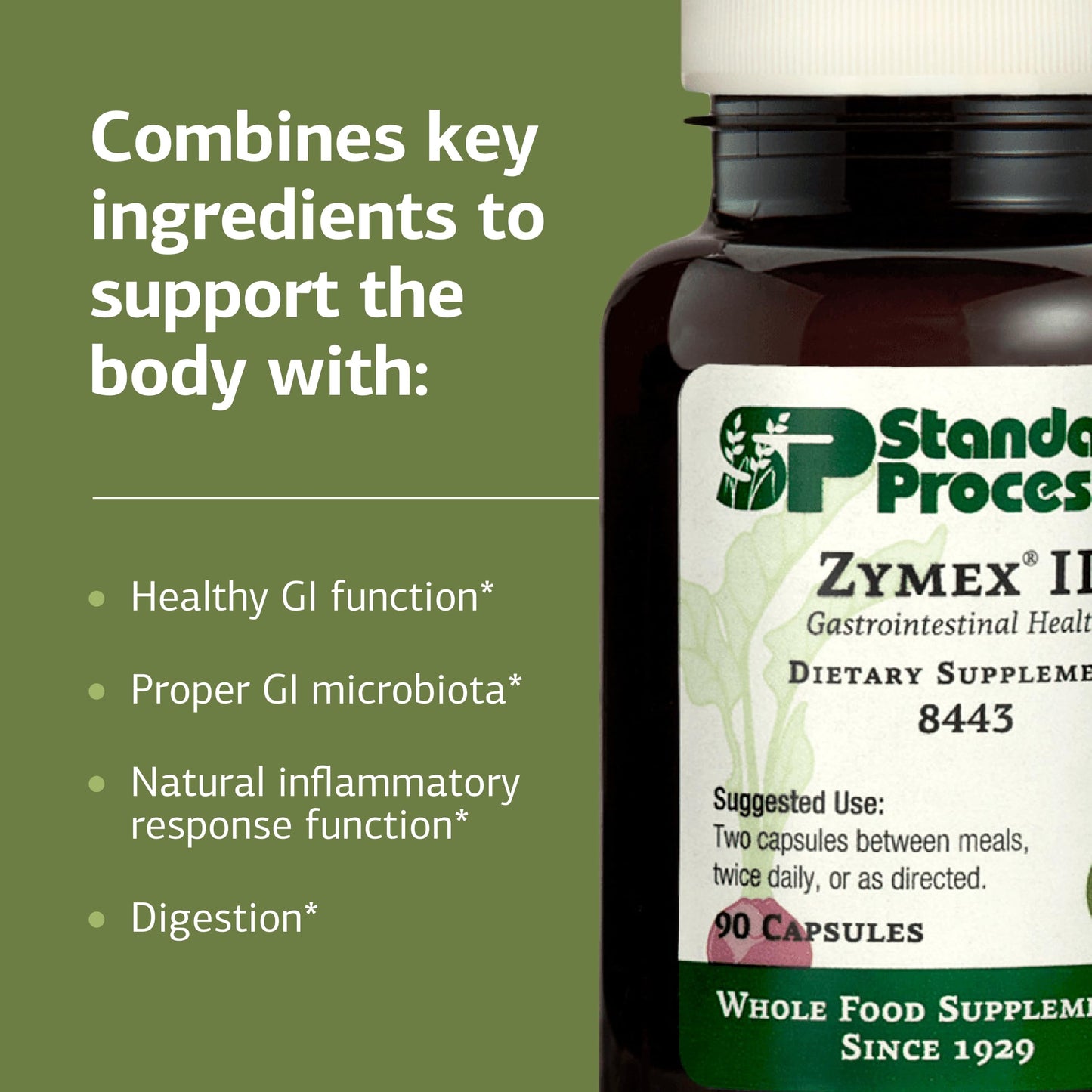Standard Process Inc. Zymex II GI Digestive Enzyme Supplement Capsule 90 Count