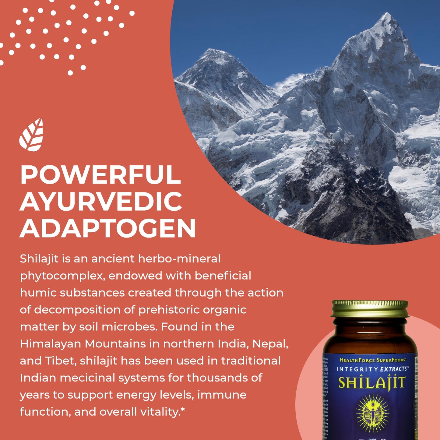 HealthForce SuperFoods Shilajit Capsules 120