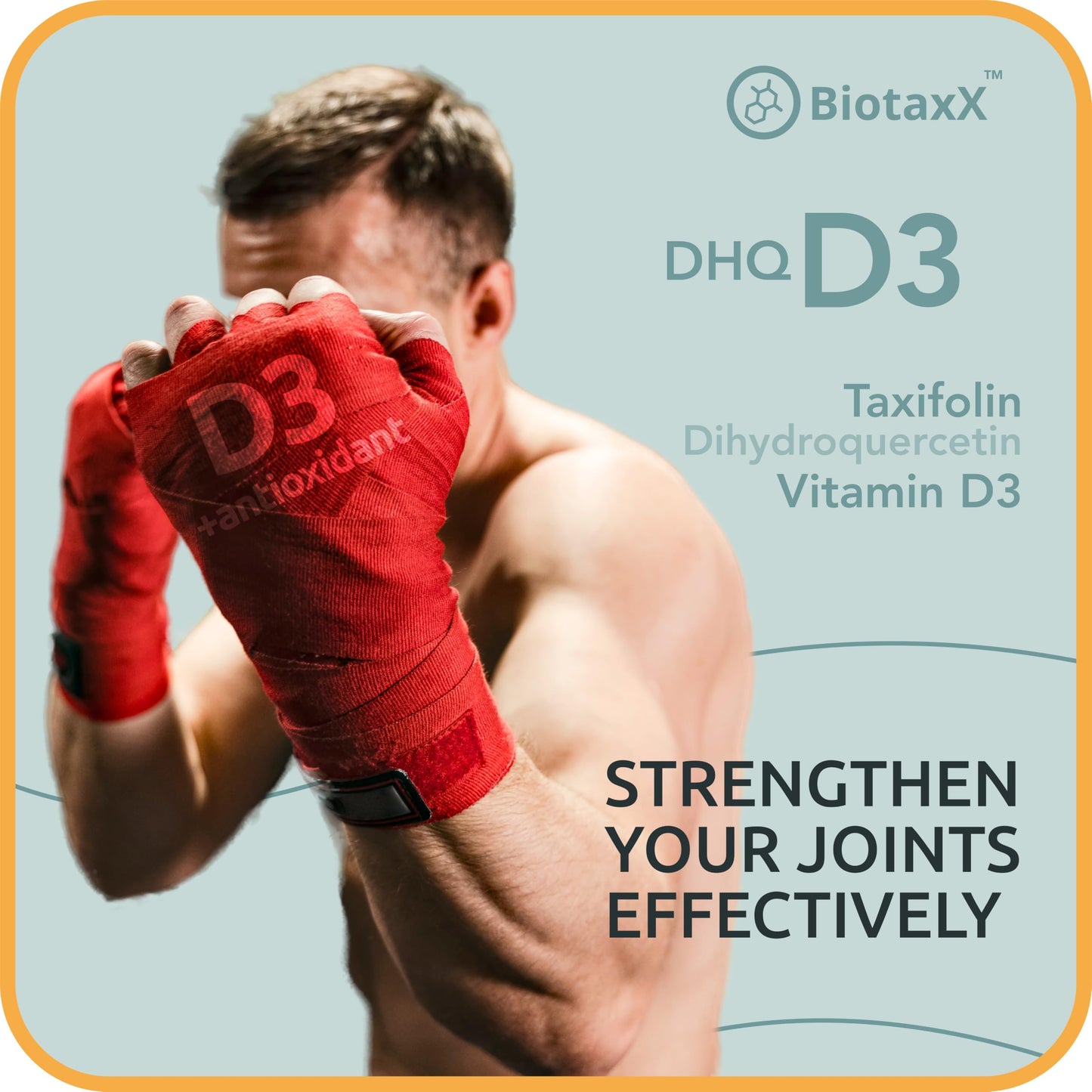 BiotaxX Taxifolin (Dihydroquercetin) + Vitamin D3 530 mg, 60 Vegan Capsules