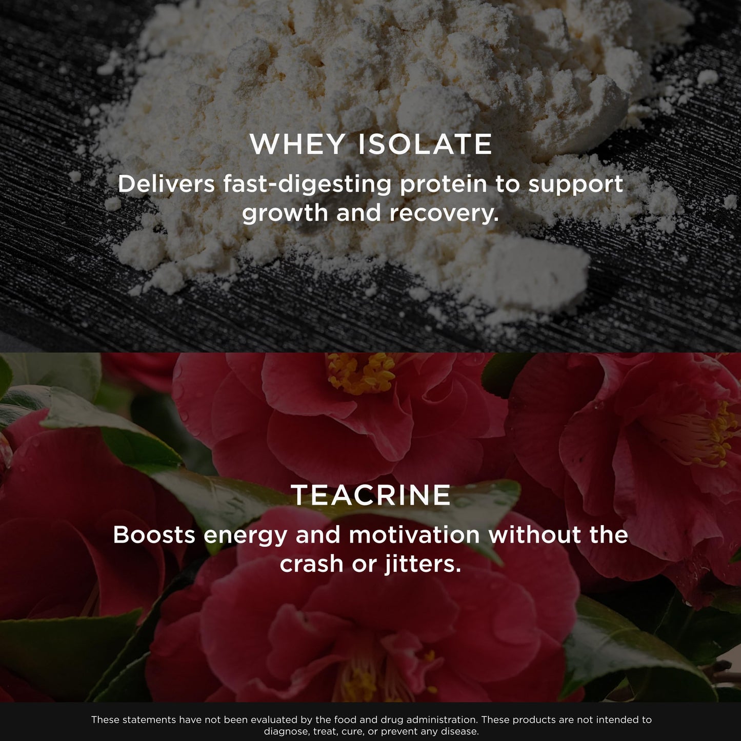 The Genius Brand Genius Protein Powder Whey Isolate & Egg White, Chocolate, 23 Servings