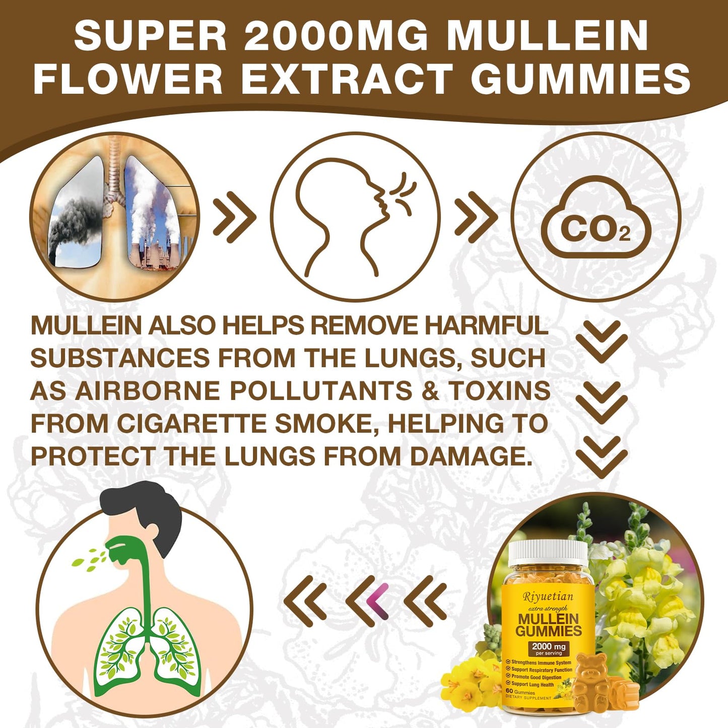 Riyuetian Mullein Gummies, 120 Gummies