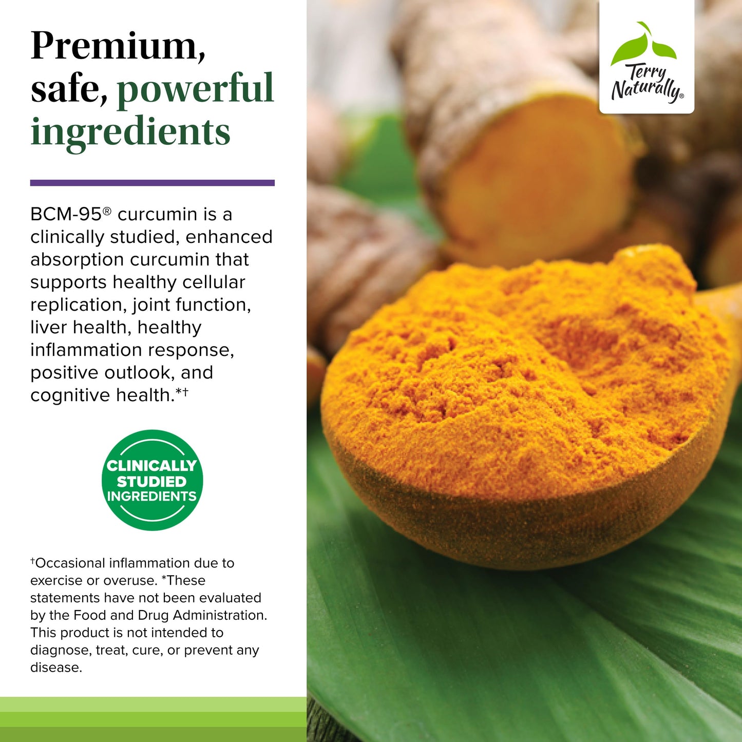 Terry Naturally Optimal Wellness Immune, Respiratory & Brain Health Support with Curcumin, 30 Capsules