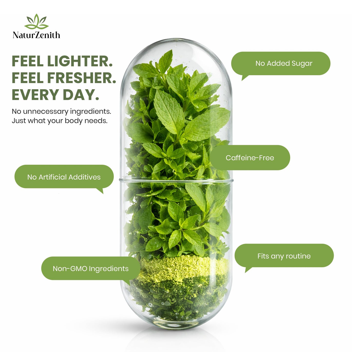 NaturZenith Moringa Mint Capsules 500mg – Moringa Oleifera Leaf Powder with Peppermint – Daily Herbal Supplement for Fresh Routine & Plant-Based Wellness – 60 Capsules