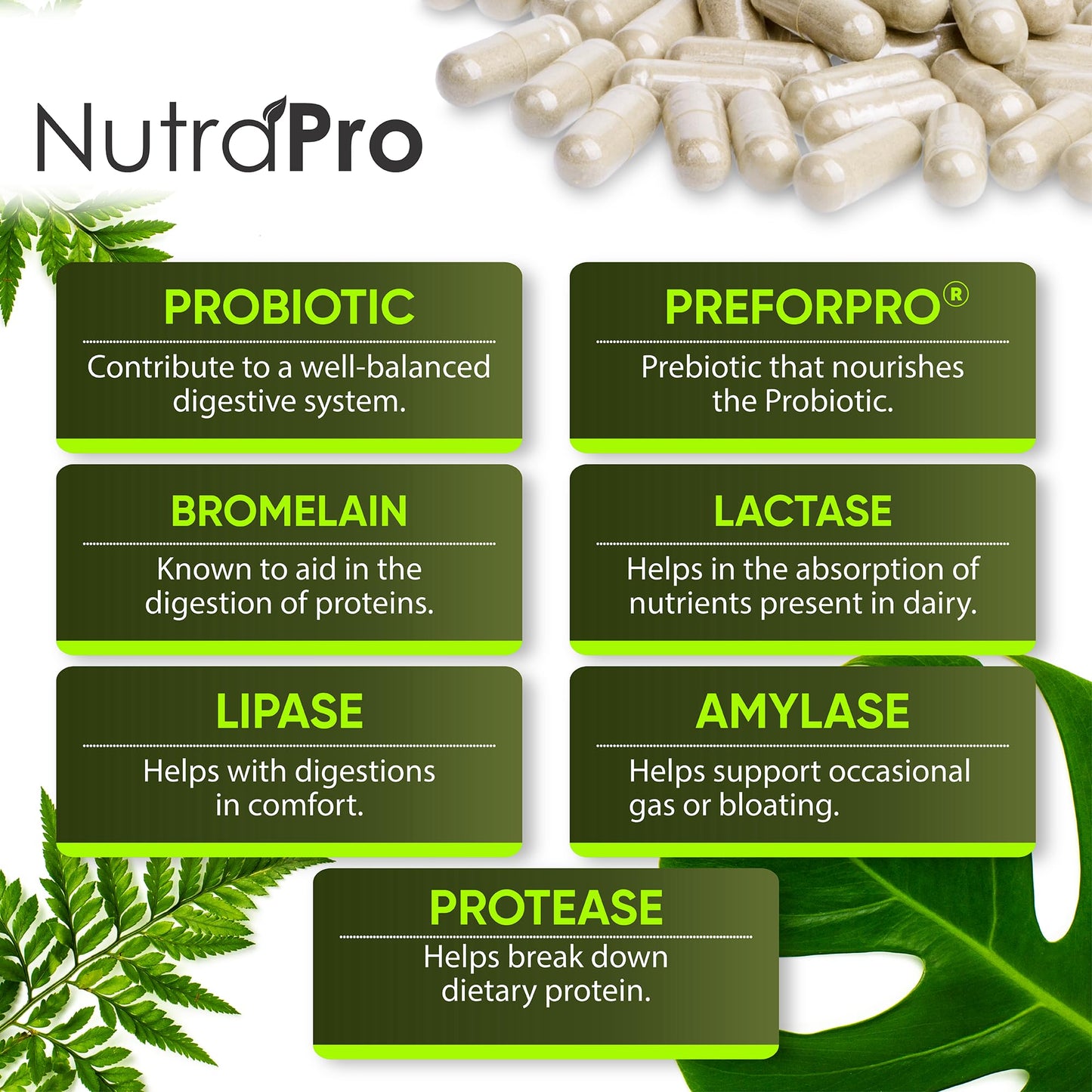 NutraPro Complete Gut Health for Women and Men with Probiotic, Prebiotic, Postbiotic & Digestive Enzymes to Support Digestive Lining Health, Digestion Health, Occasional Gas, and Discomfort Capsules 60
