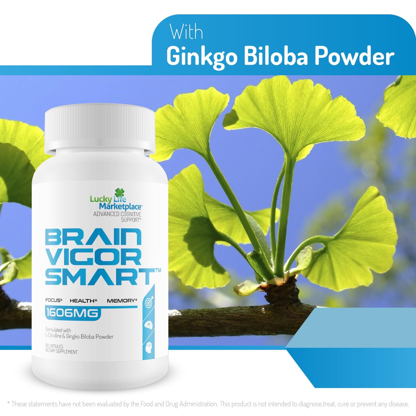 Generic Brain Vigor Smart Brain Booster Capsule 90 Count