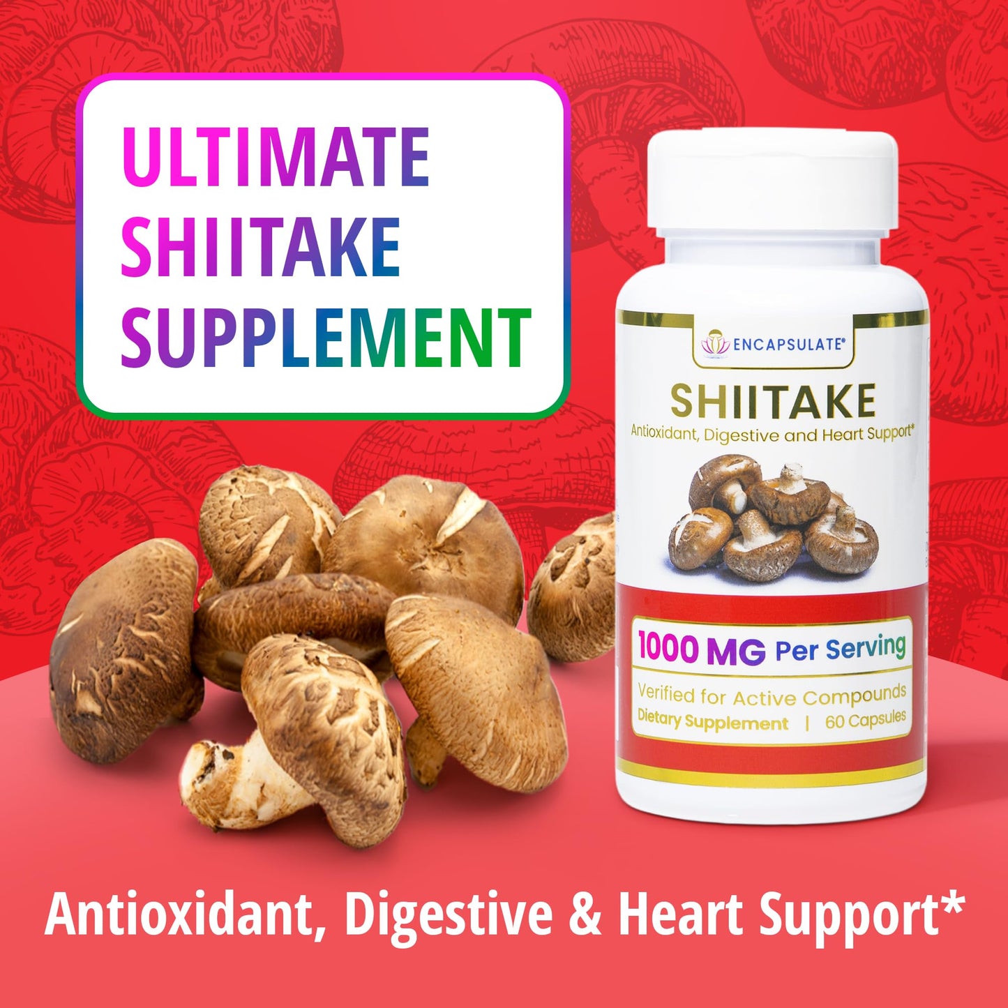 ENCAPSULATE Shiitake 8:1 Extract – Premium Organic Fruiting Body 8:1 Extract – Adaptogen Mushroom Supplement for Heart Health, Vitality, Antioxidant & Immune Support 60 Capsules