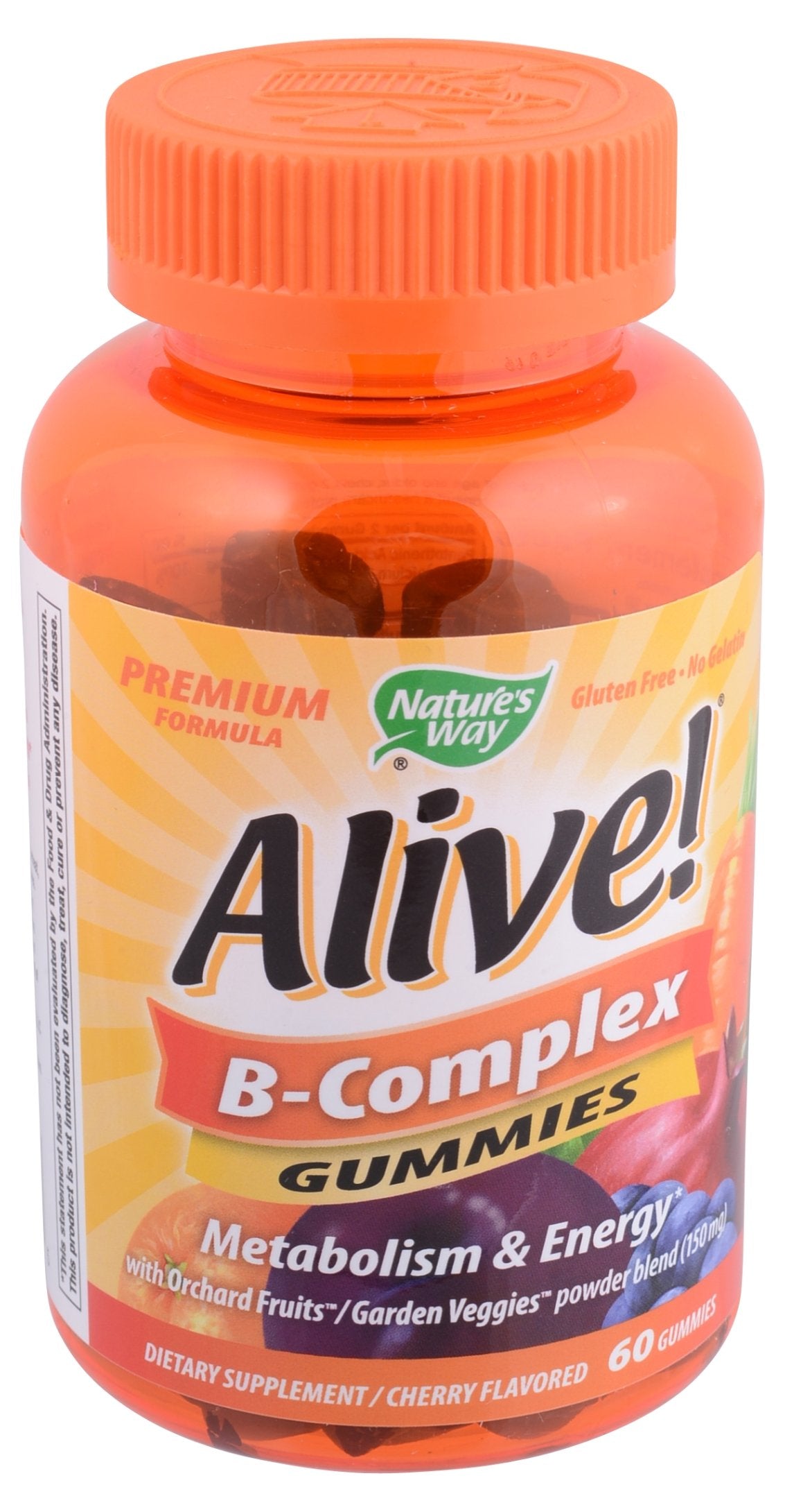 Nature's Way Alive Adult Multivitamin Gummy, 90 Gummies