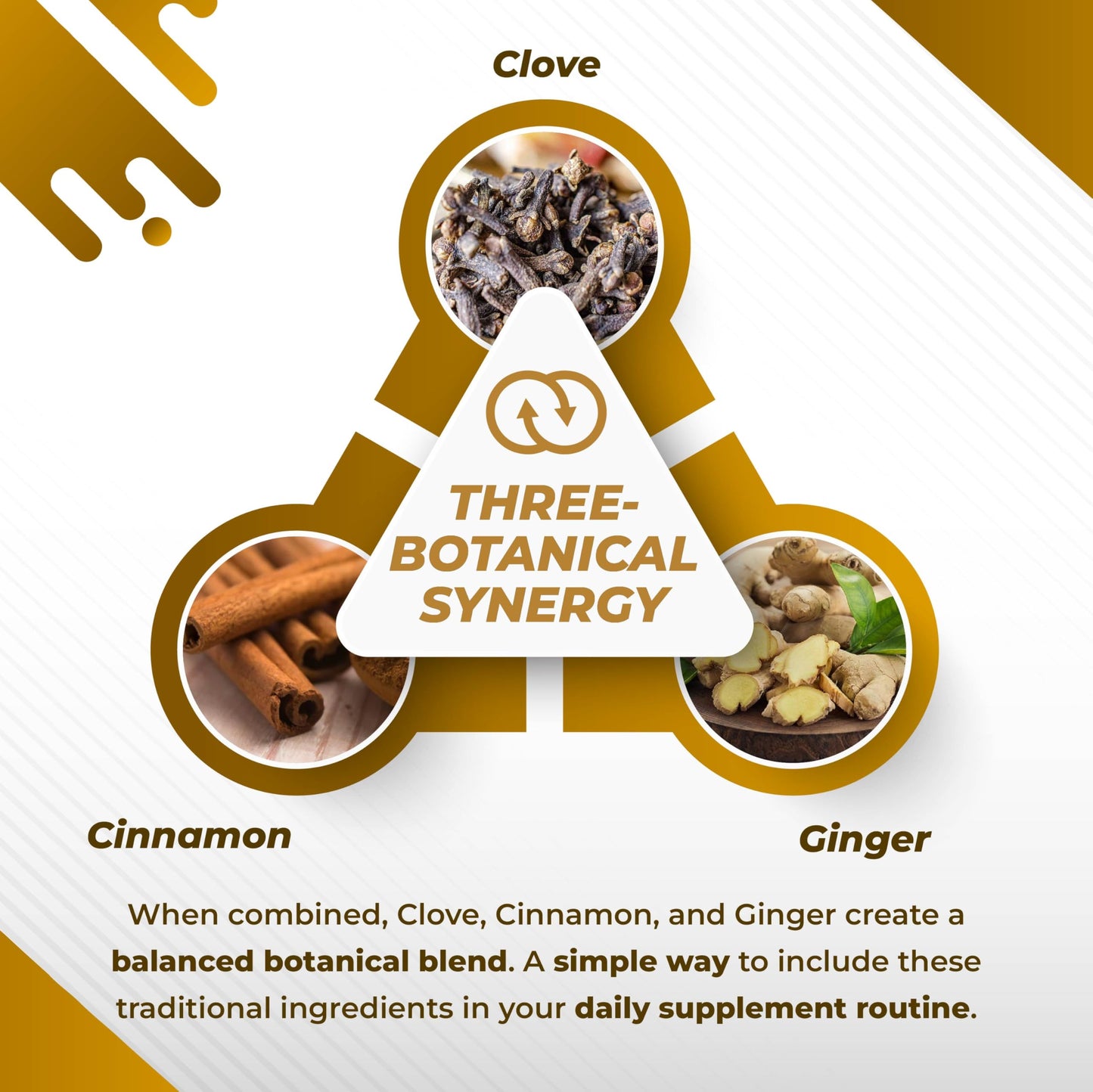 NURAFUSE Cloves Cinnamon Ginger Capsules, 150 Count