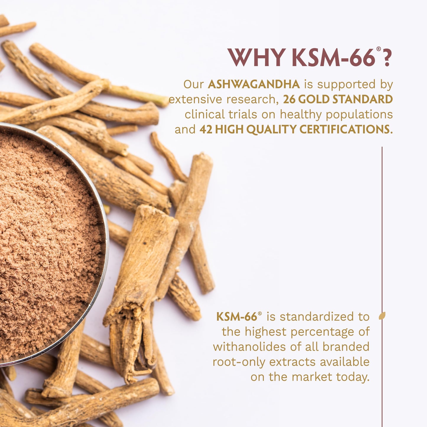 TRIBE ORGANICS Vegan Ashwagandha KSM-66 Root Powder Extract Capsule 60 Capsules