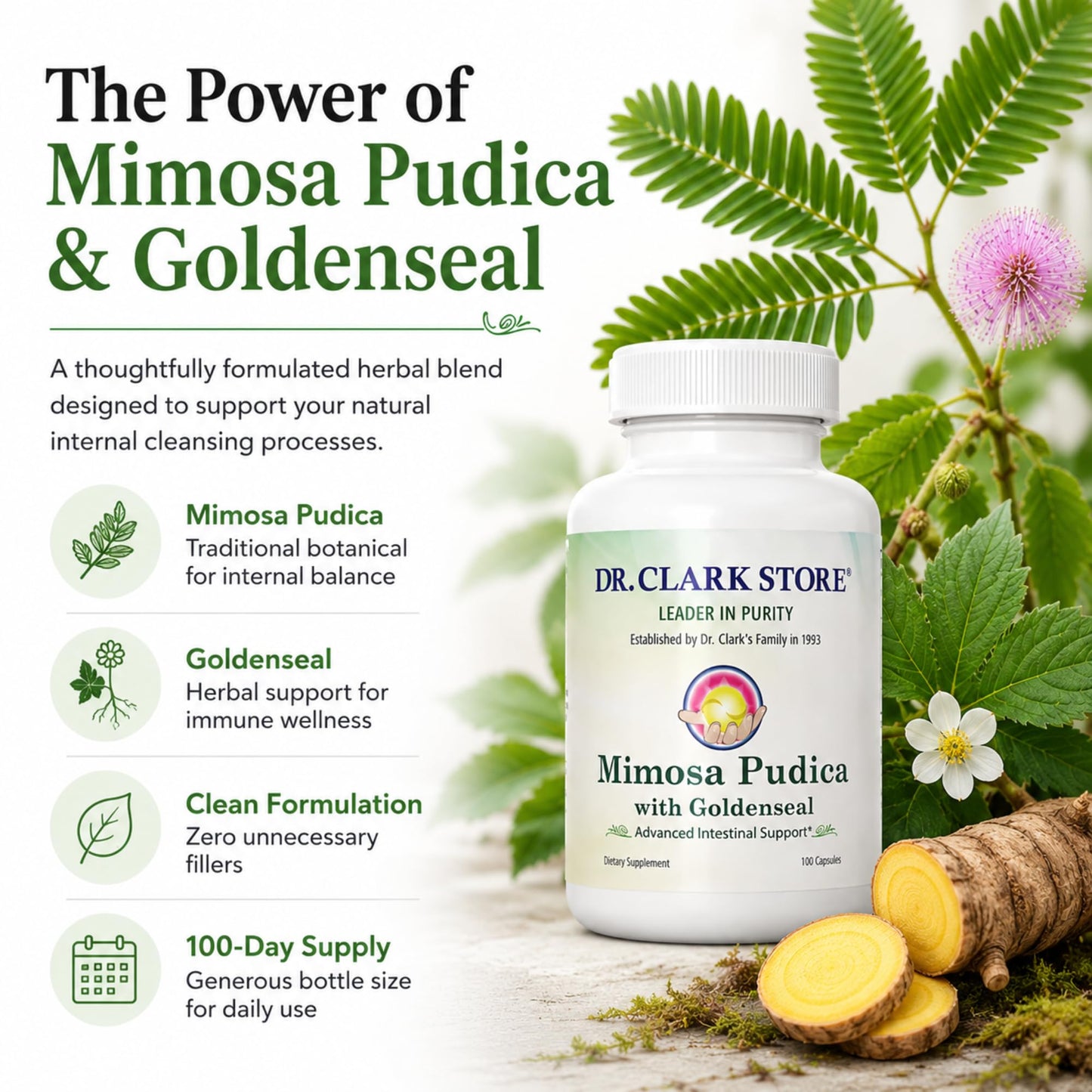 Dr Clark Store Mimosa Pudica & Goldenseal 100 Capsules