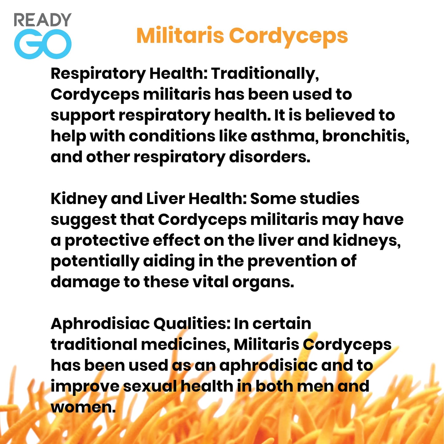 READYGO Cordyceps Militaris Mushroom Capsules with Ginseng Extract, Energy, Stamina and Immune Support, 30 Capsules