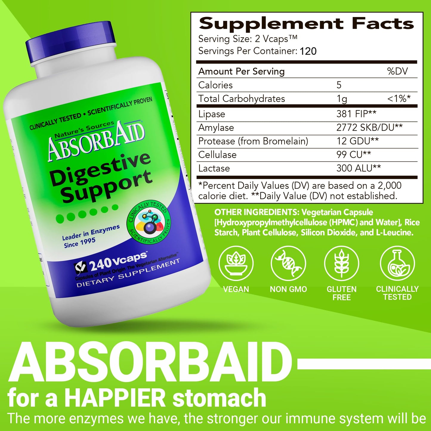 AbsorbAid Original Formula Digestive Support Enzyme Supplement Capsule 240 Capsules