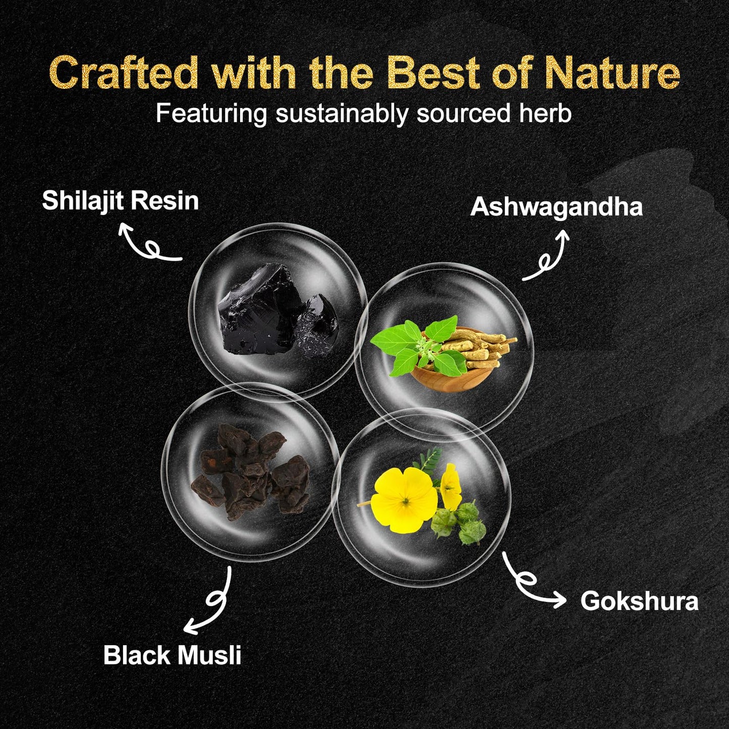 Craftmetal Himalayan Shilajit Gummies Gummy 1 Count