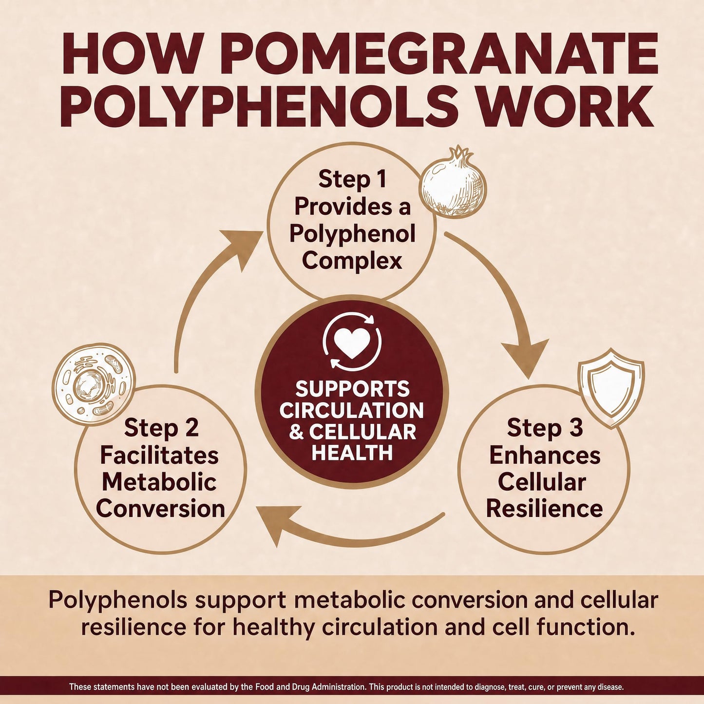 HyberVive Extra Strength Pomegranate Extract 20:1 – Standardized to ≥40% Polyphenols with Ellagic Acid, 500mg Full-Spectrum Peel Extract, Circulation & Vascular Support Capsules, 90 Count