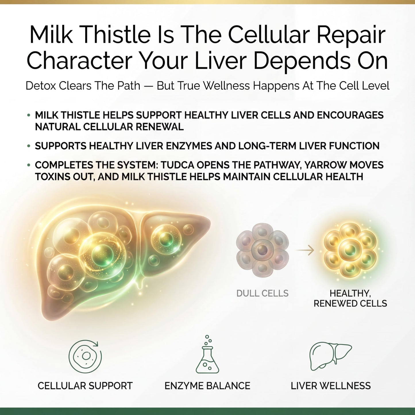 PRISTINE'S CelluClean Liver Cleanse and Detox Supplement Capsule, 180 Capsules