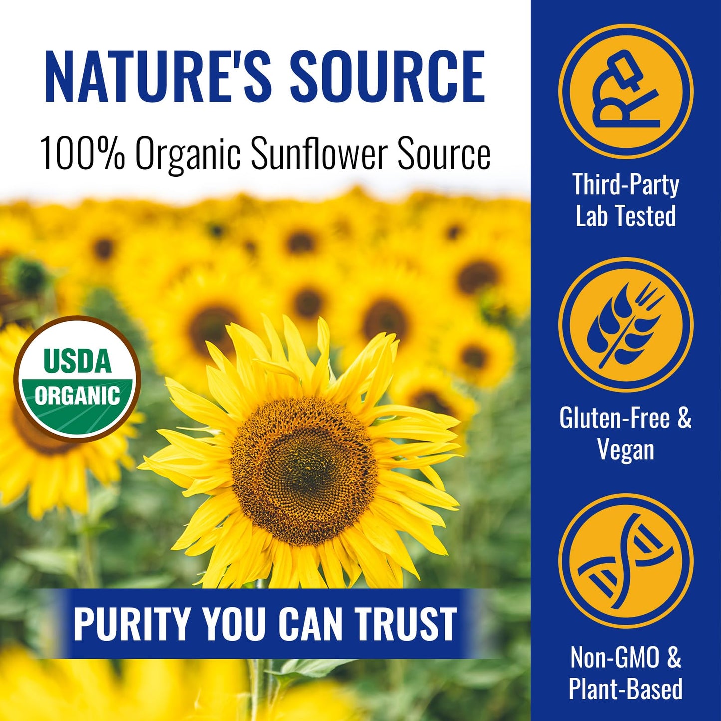 Angtai JN Organic Sunflower Lecithin Powder 4 oz